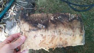 Lp siding rot repair Preferred Exteriors Vancouver WA Clark County
