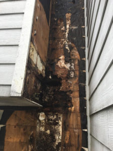 Hardi Board rot repair siding contractors Orchards Clark County