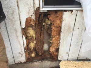 best dry rot repair siding contractors Vancouver Clark County